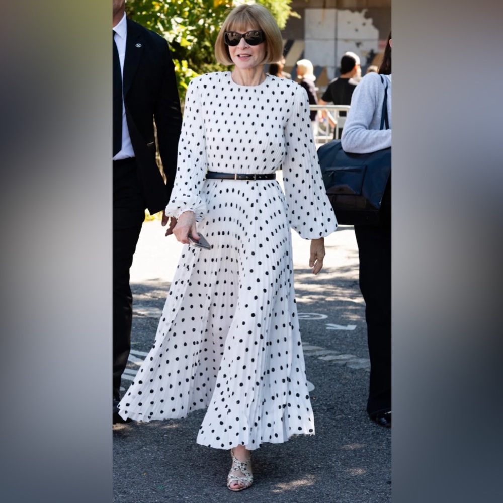 Zara Polka Dot Dress - NWT Black and White Spot Dress S